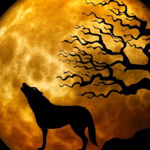 loup